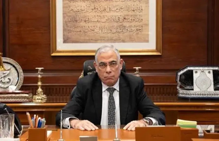 المستشار محمد شوقي