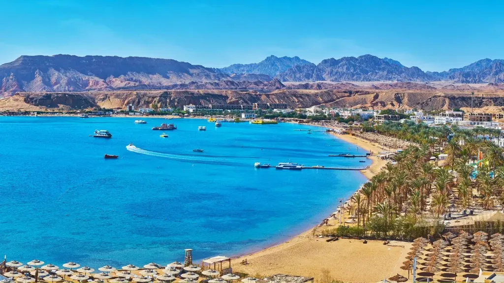 المصرية للمنتجعات السياحية تجدد الثقة في مجلس الإدارة وتعلن خطة لزيادة الغرف الفندقية