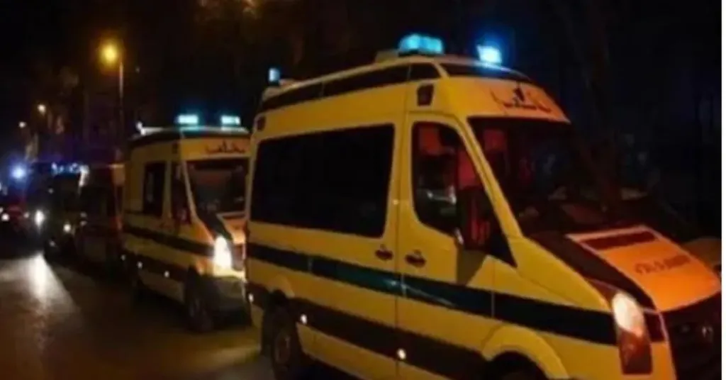 إصابة شخصين يحملان الجنسية الصينية إثر حادث انقلاب ملاكي في قنا