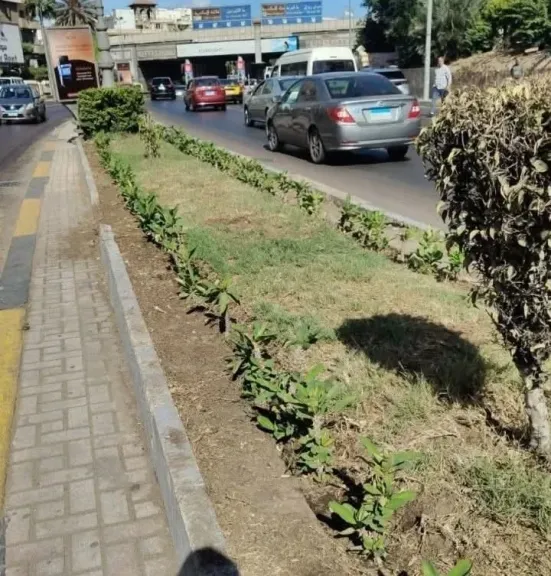 الإسكندرية تكثف جهود رفع كفاءة الحدائق وتوسيع المساحات الخضراء