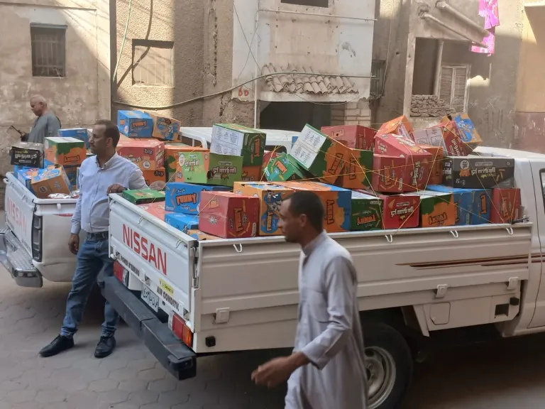 ضبط طن سولار ومستودع بوتاجاز مخالف و2400 سلعة منتهية الصلاحية في نجع حمادي ونقادة