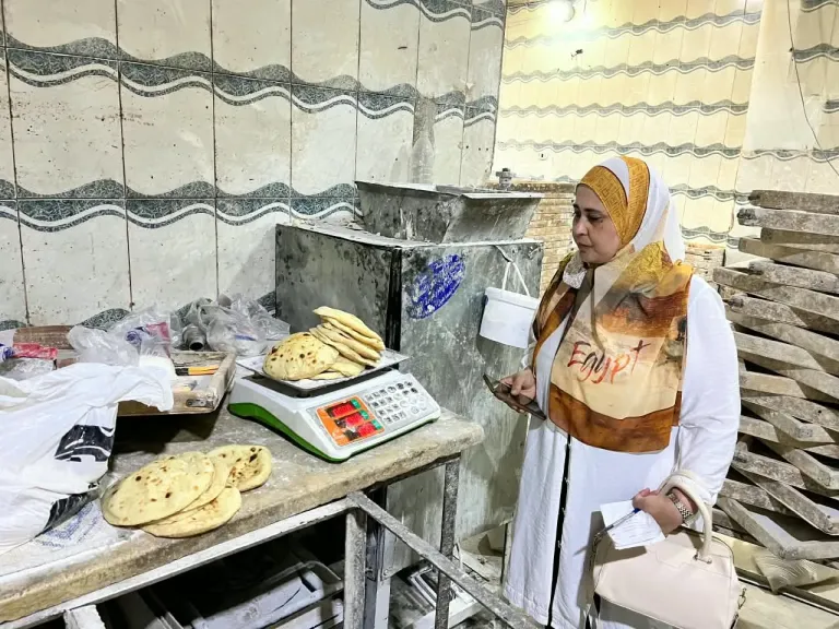 ضبط 494 قطعة سلع غذائية منتهية الصلاحية وتحرير 115 مخالفة تموينية بالإسماعيلية