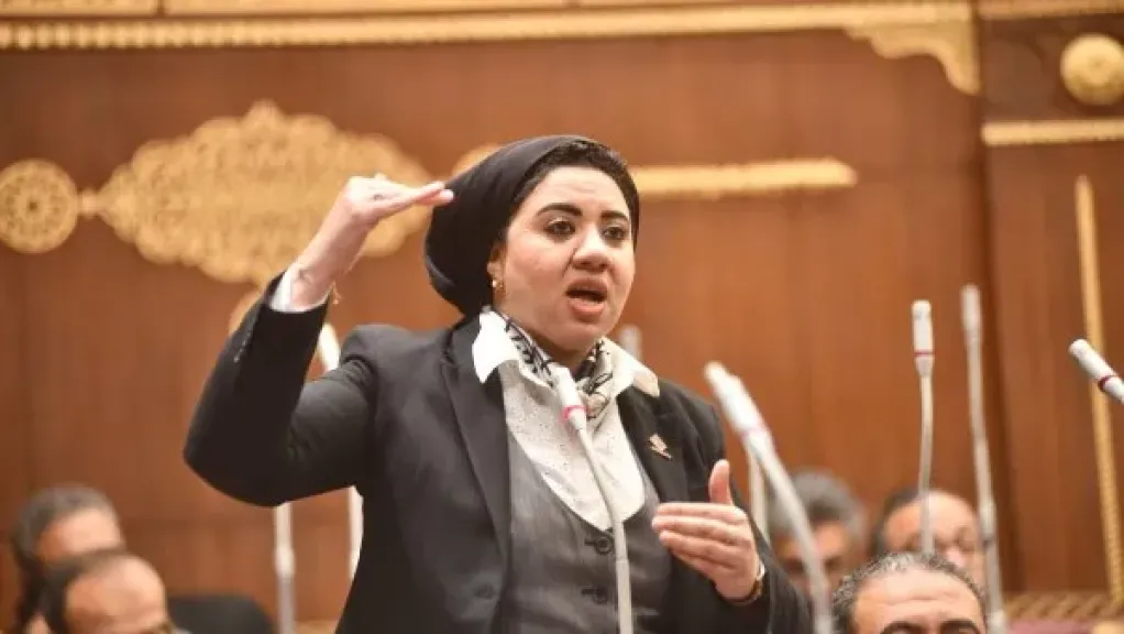 نائبة بالشيوخ تنتقد استمرار قطع الأشجار: «هو كلام الريس مبيتسمعش ليه؟»