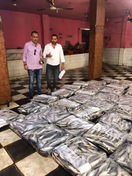 ضبط 5 أطنان مسحوق غسيل و1.15 طن أسماك مشكوك في صلاحيتها بكفر الشيخ