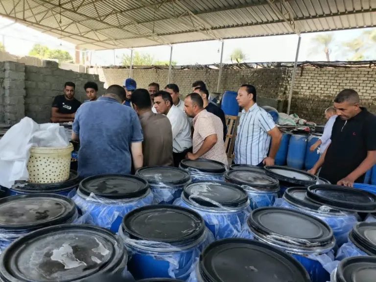 إزالة خطوط صرف لـ12 مصنع تخليل زيتون على بحر فيديمين بالفيوم