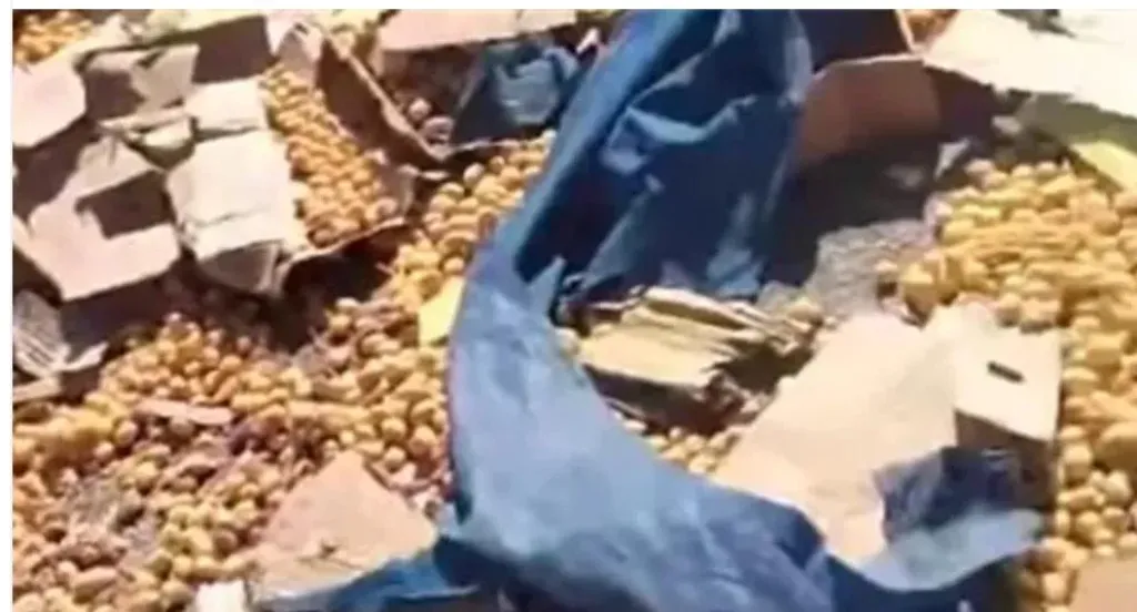 محملين بلح.. إصابة 5 أشخاص إثر انقلاب سيارة ربع نقل على صحراوي قنا