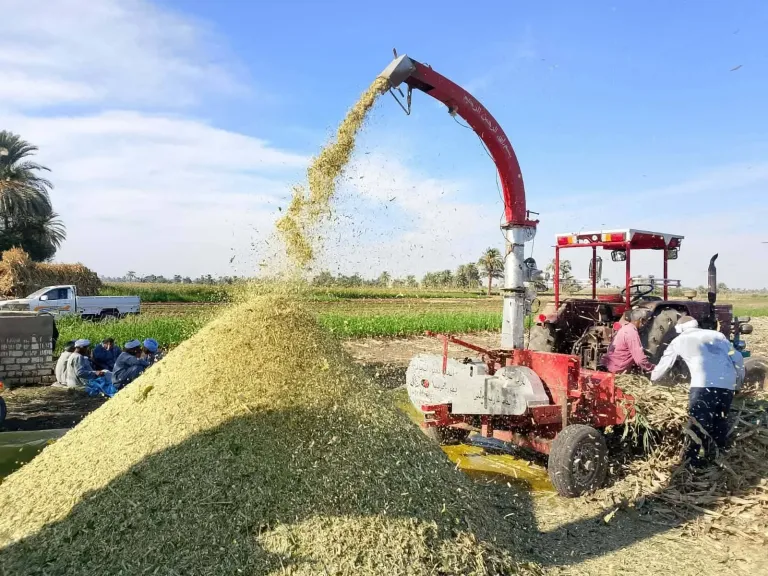 محافظ أسيوط: تدريب المزارعين على إعداد السيلاج في 16 قرية بمركز الفتح