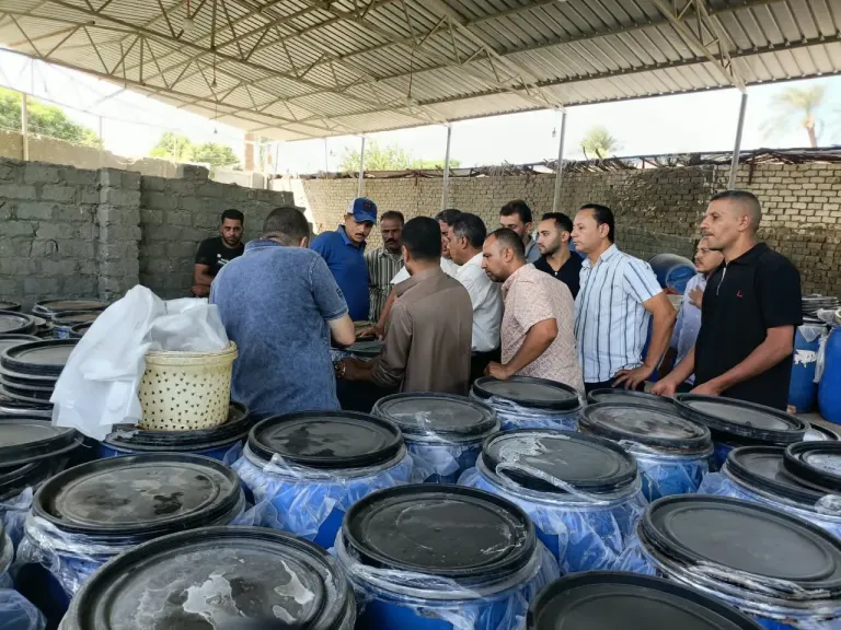 حملة بالفيوم تضبط مخالفات 12 مصنعًا لتخليل الزيتون وتزيل التلوث