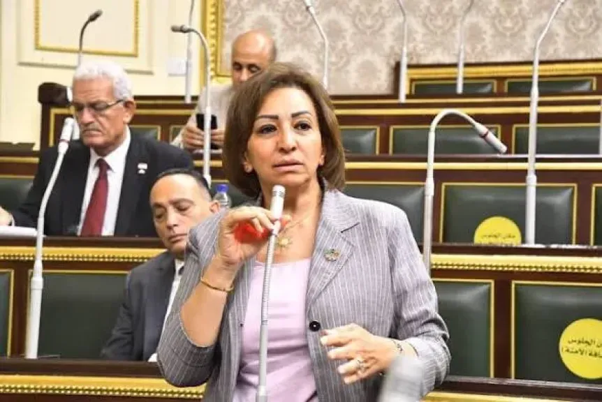 مها عبد الناصر تطالب بإلغاء ضريبة الجدول على خدمات الإنترنت