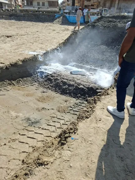 وزارة البيئة تنهي دفن دولفين نافق برأس البر بعد تعلقه بشباك الصيد