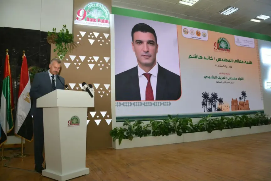 قوة إنتاجية واعدة.. مصر تتربع على عرش التمور عالمياً بحصة 20%