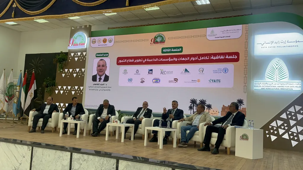 روشتة تعظيم القيمة المضافة للتمور المصرية.. خبراء: التوسع في زراعة «المجدول» الحصان الرابح للصادرات