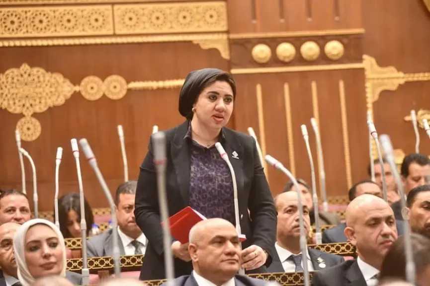 بعد تصريحات الرئيس السيسي.. أميرة صابر تطالب بانتخابات محلية وجدول زمني لتفعيل القوانين الدستورية