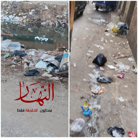 عودة القمامة إلى شوارع شنوان بالمنوفية بعد اختفاء صناديق التجميع