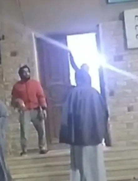 مواطن يصطحب كلبًا نافقًا إلى مستشفى طامية بالفيوم ويطلب الكشف عليه