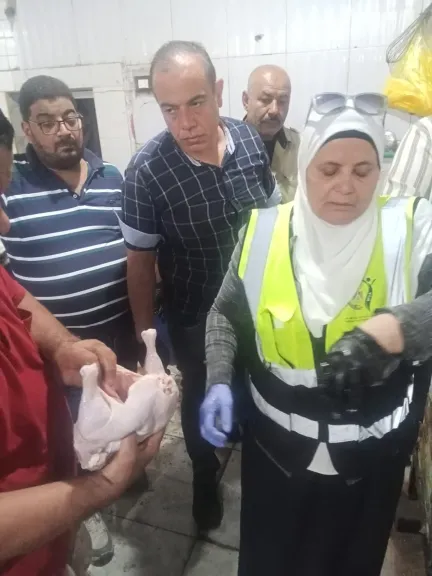 تموين الفيوم يضبط 110 دجاجات فاسدة ولحومًا وكبدة غير صالحة للاستهلاك