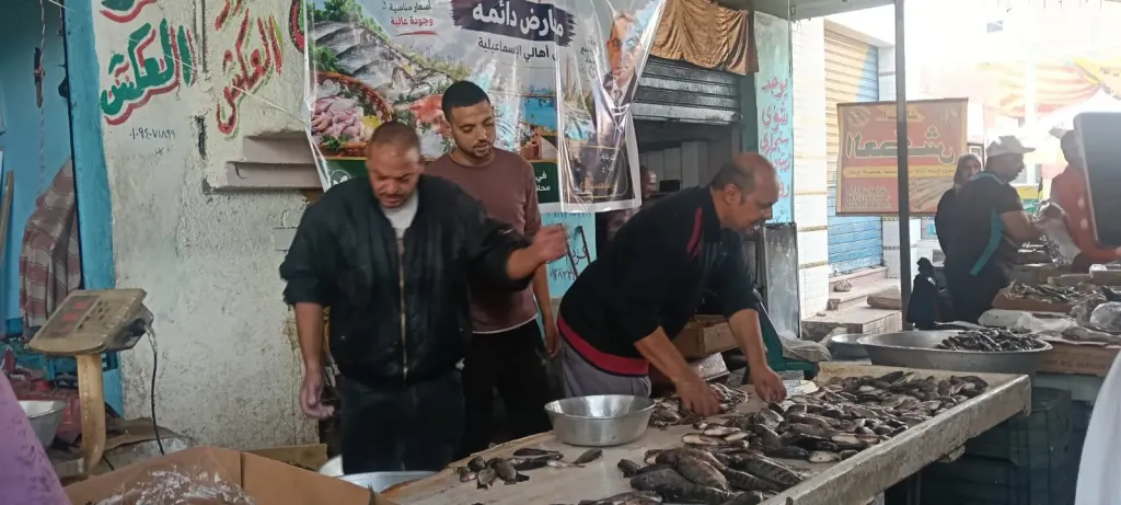 ”النهار” ترصد استمرار مبادرة تخفيض أسعار الأسماك بسوق الجمعة في الإسماعيلية وسط إقبال المواطنين