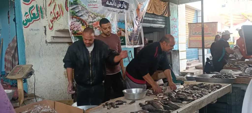 ”النهار” ترصد استمرار مبادرة تخفيض أسعار الأسماك بسوق الجمعة في الإسماعيلية وسط إقبال المواطنين