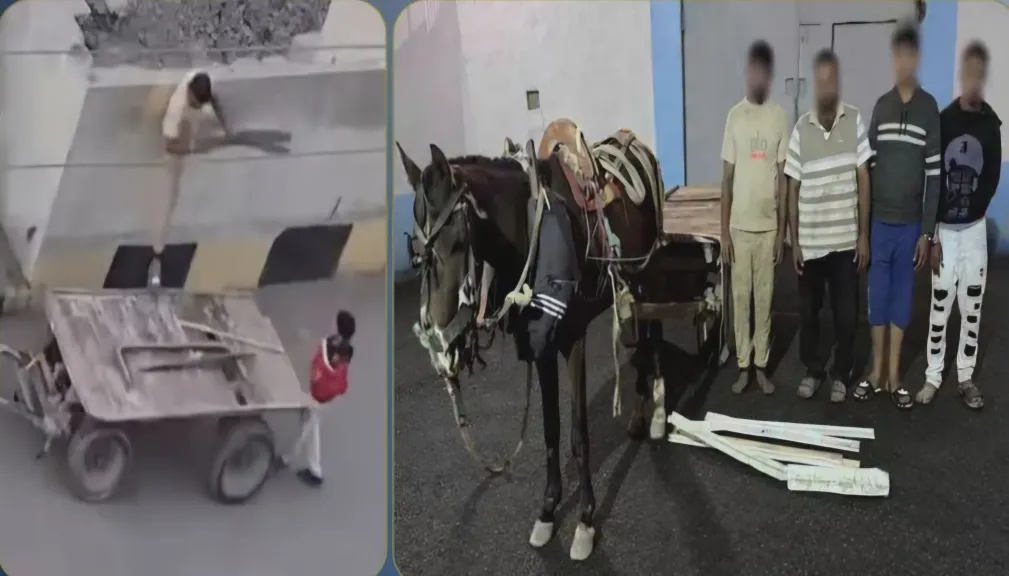 ضبط 4 متهمين بسرقة ألواح معدنية من قطار بالشرقية وبيعها لتاجر خردة.. والفرار بعربة كارو