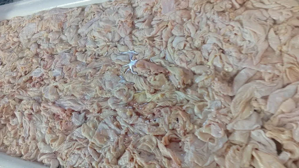 ضبط ثلاجتين غير مرخصتين بهما طنان من اللحوم والدواجن بالإسماعيلية