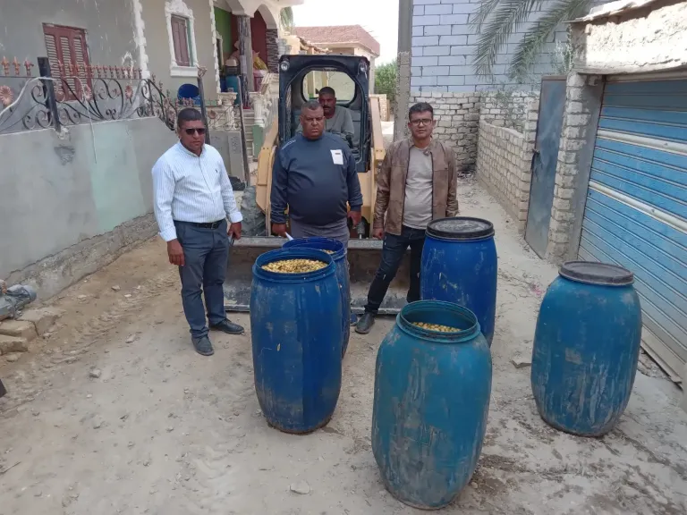 ضبط نصف طن زيتون مخلل فاسد بالفيوم