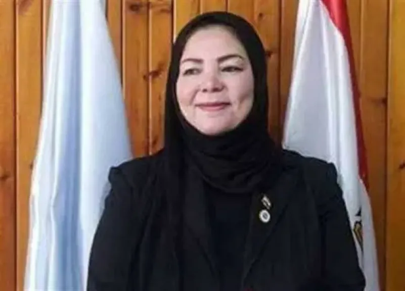 أستاذ اقتصاد الطاقة: أزمة النفط والغاز لم تعد مرتبطة بالعرض والطلب فقط