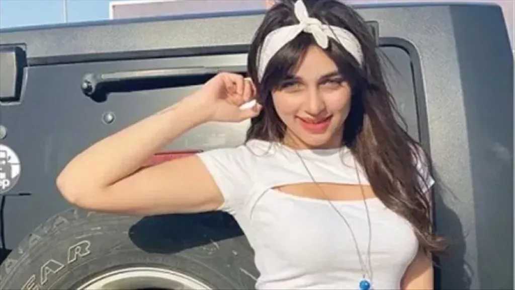 القبض على البلوجر منار سامي وزوجها بتهمة الاتجار في المواد المخدرة بالجيزة
