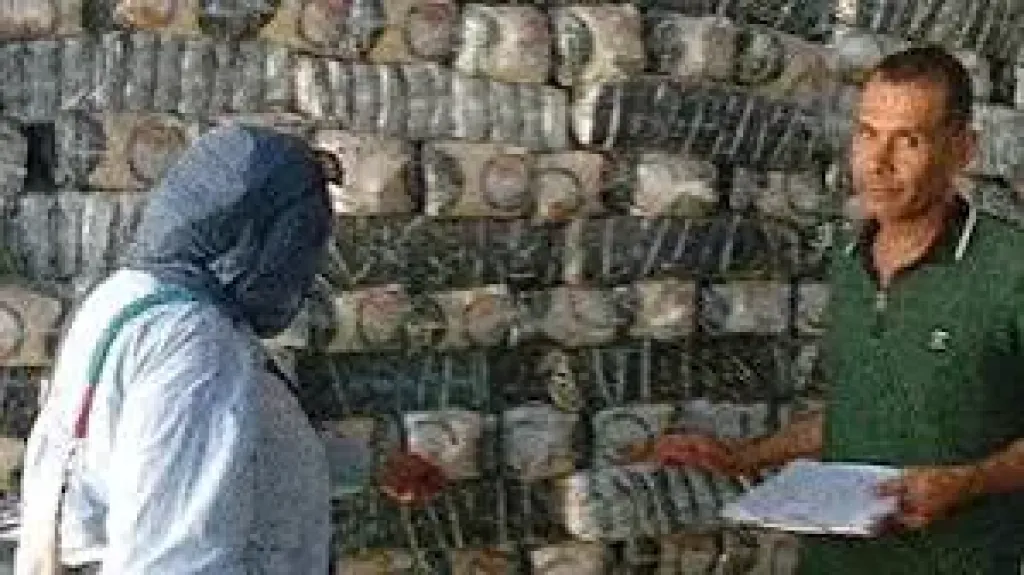 ضبط مصنع بالإسماعيلية بحوزته 5 أطنان سكر وأرز ناقصة الوزن
