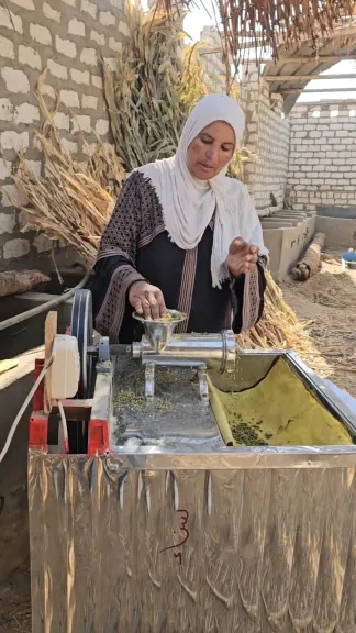 من الزرع والماشية لمشروع العلف.. سناء بخيت تحارب أعباء الحياة في قنا لمساعدة زوجها وأبنائها ال8: بقف على الآلات الحادة عشان أولادي