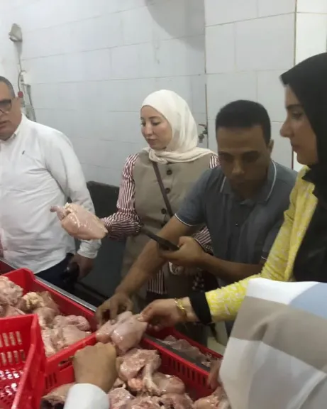تموين الدقهلية يداهم مصنعًا لإعادة تدوير الدواجن الفاسدة بميت غمر ويضبط 5 أطنان