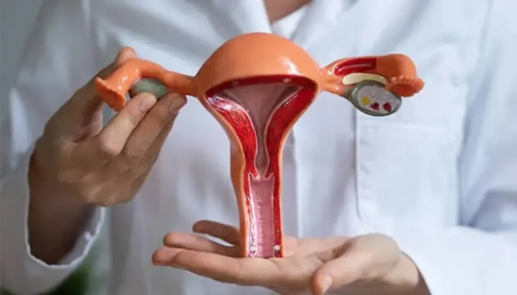 بطانة الرحم المهاجرة.. حكايات من الألم ومعارك مؤجلة مع حلم الأمومة