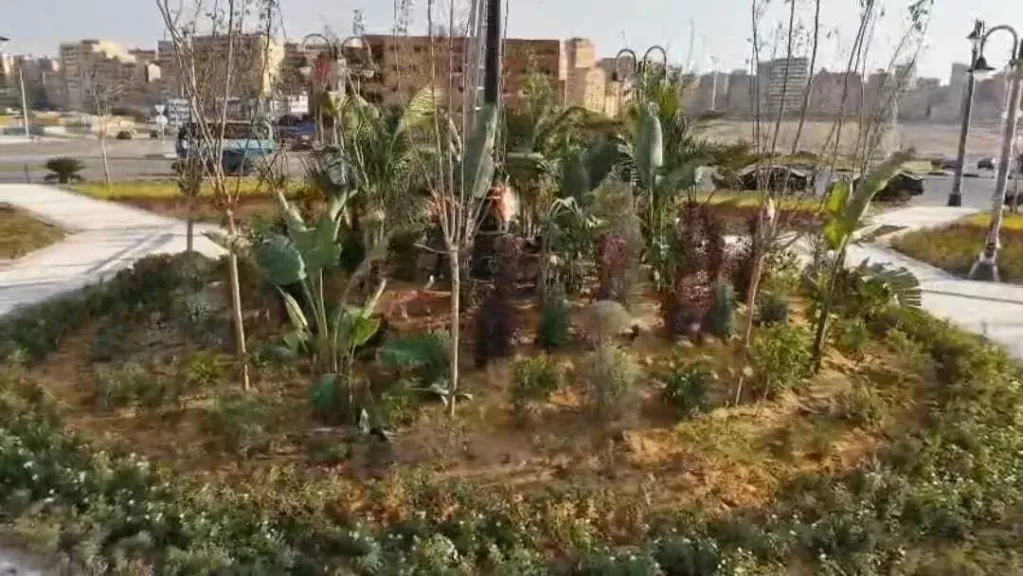 البنك الأهلي يساهم بـ10 ملايين جنيه في مبادرة «تخضير القاهرة»