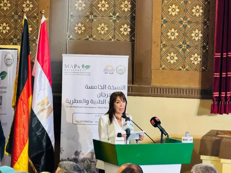 852 مليون دولار صادرات النباتات الطبية والعطرية.. ومصر تستهدف مضاعفة العائد من القطاع