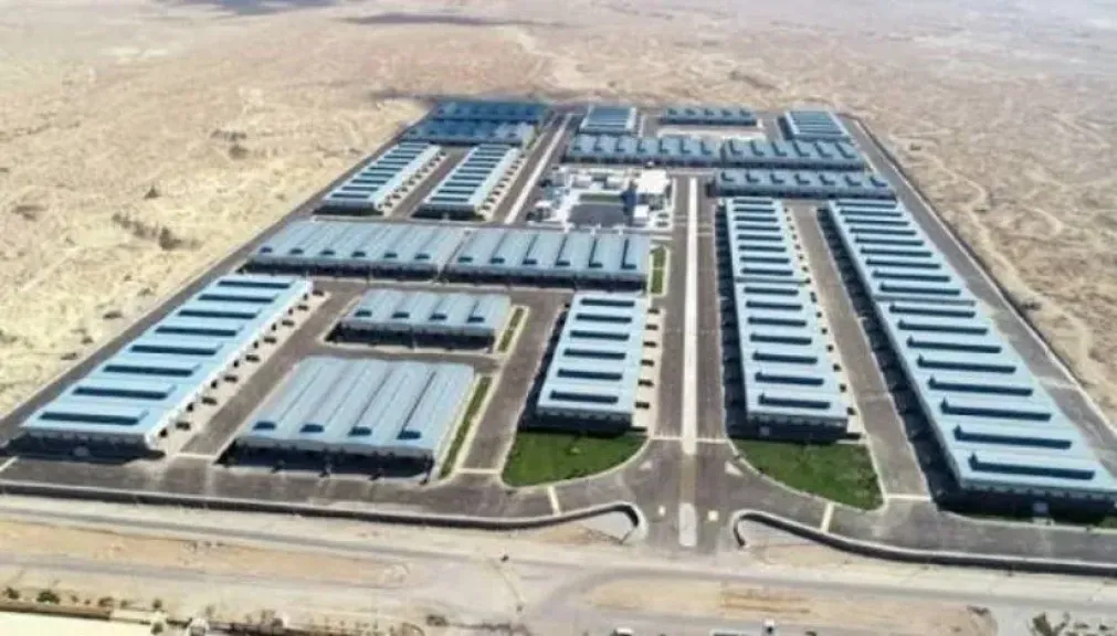 «صناعة الأخشاب»: إلغاء شرط الـ3 سنوات يمنح المستثمرين مرونة أكبر.. وندعو لاستغلال المهلة قبل نهاية ديسمبر