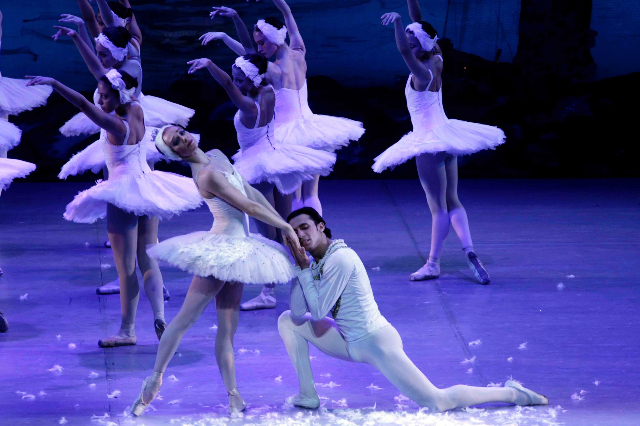 بحيرة البجع