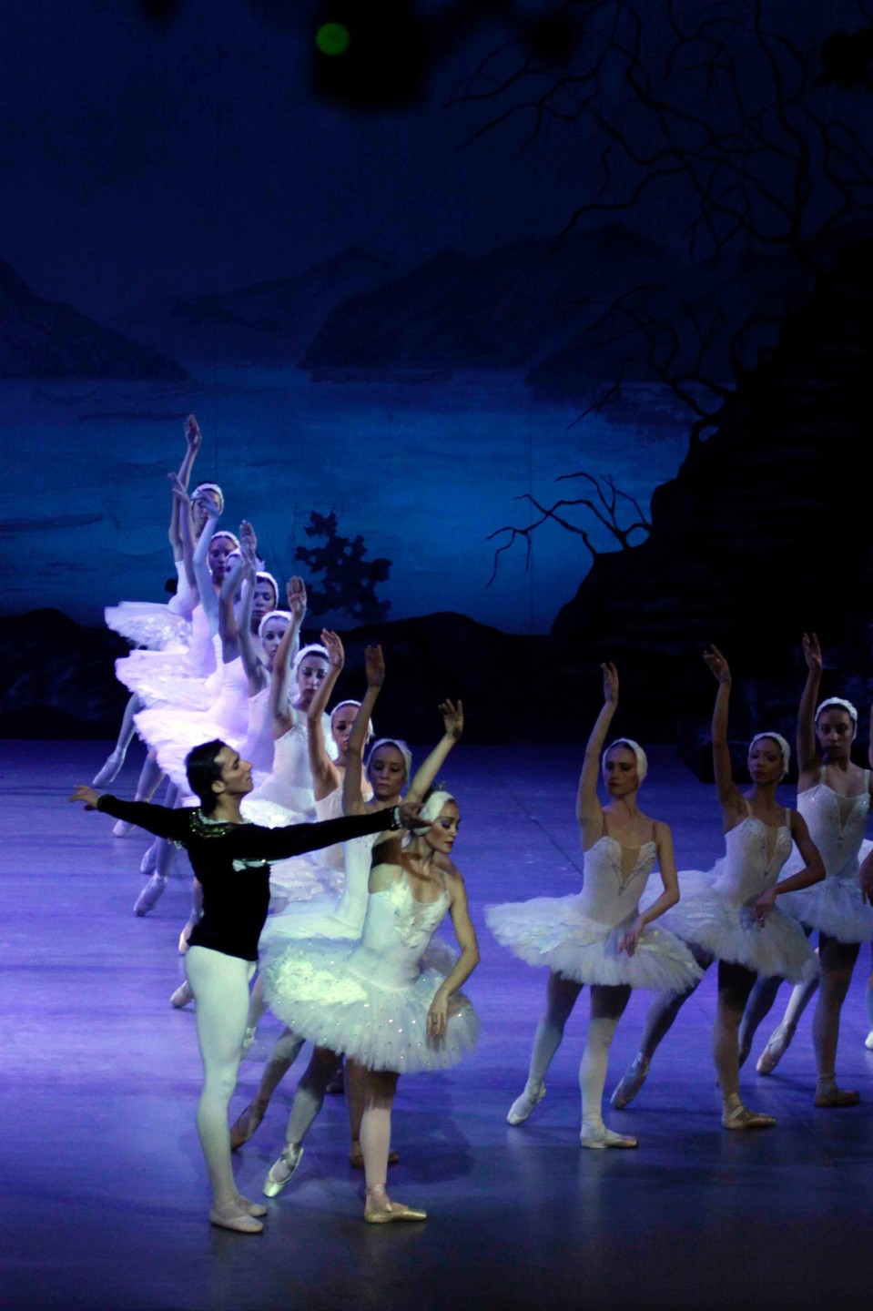 بحيرة البجع