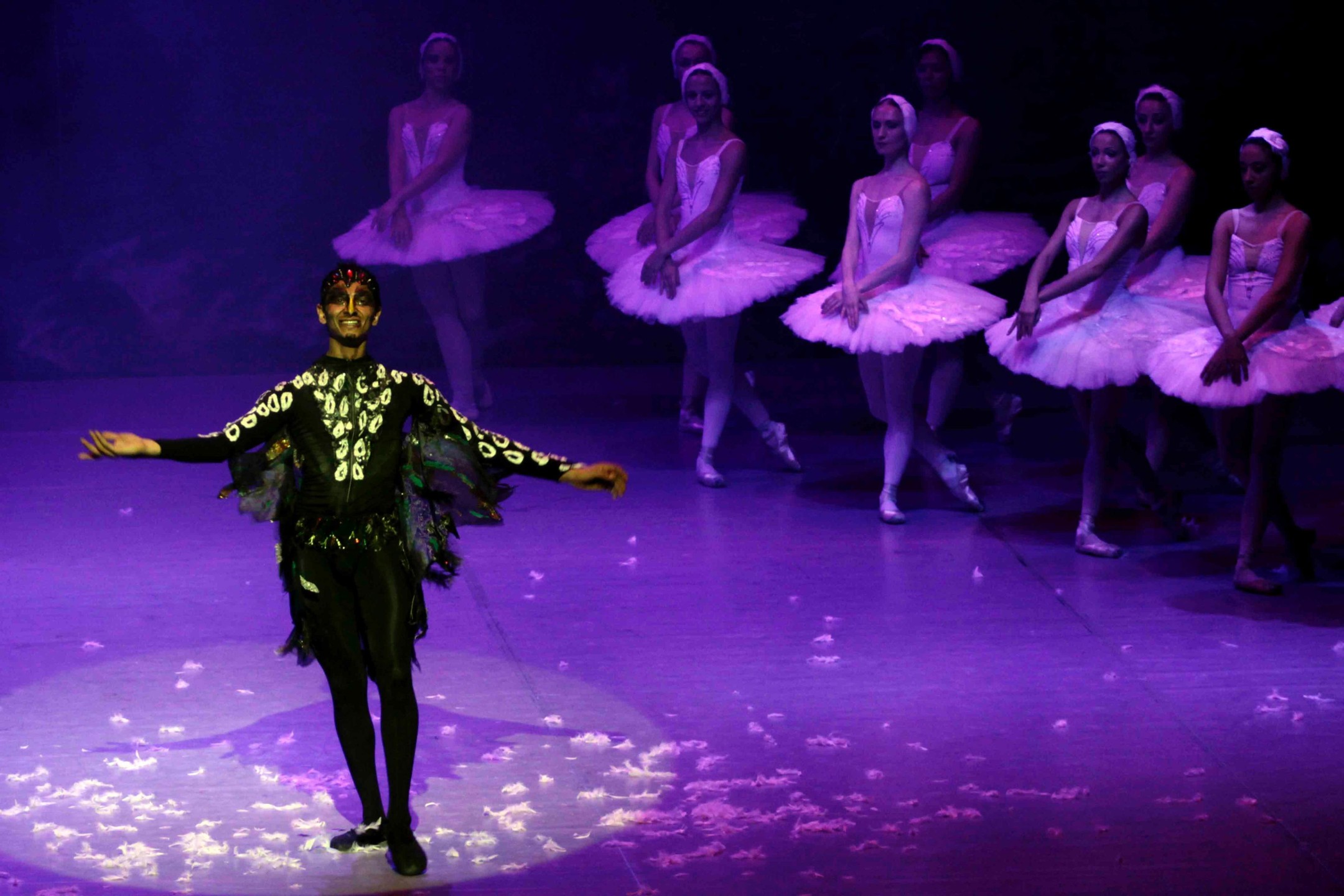 بحيرة البجع