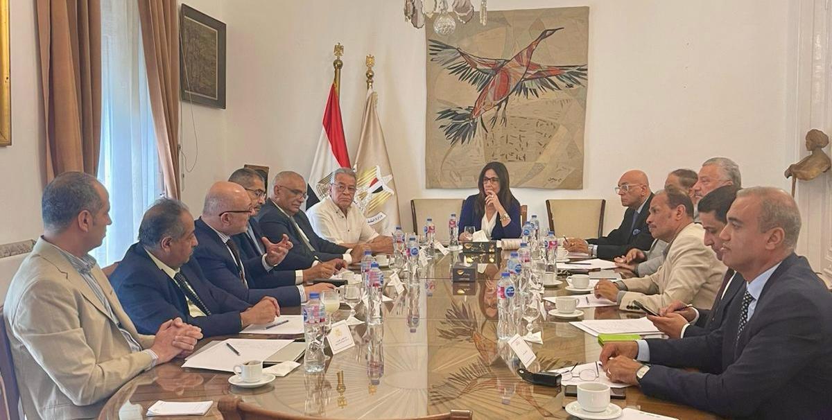 الدكتورة جيهان زكي، وزيرة الثقافة