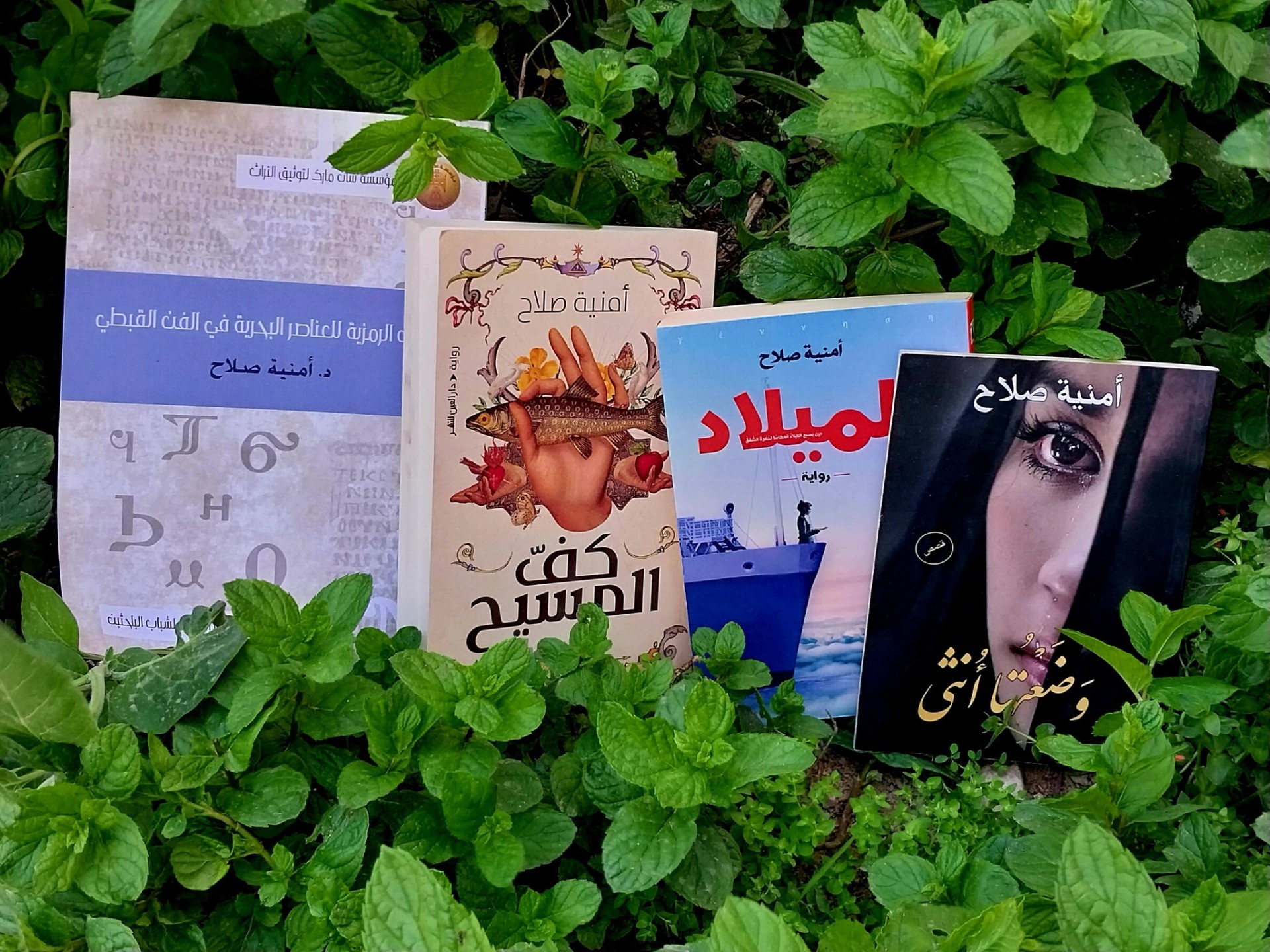 أعمال الدكتورة أمنية صلاح