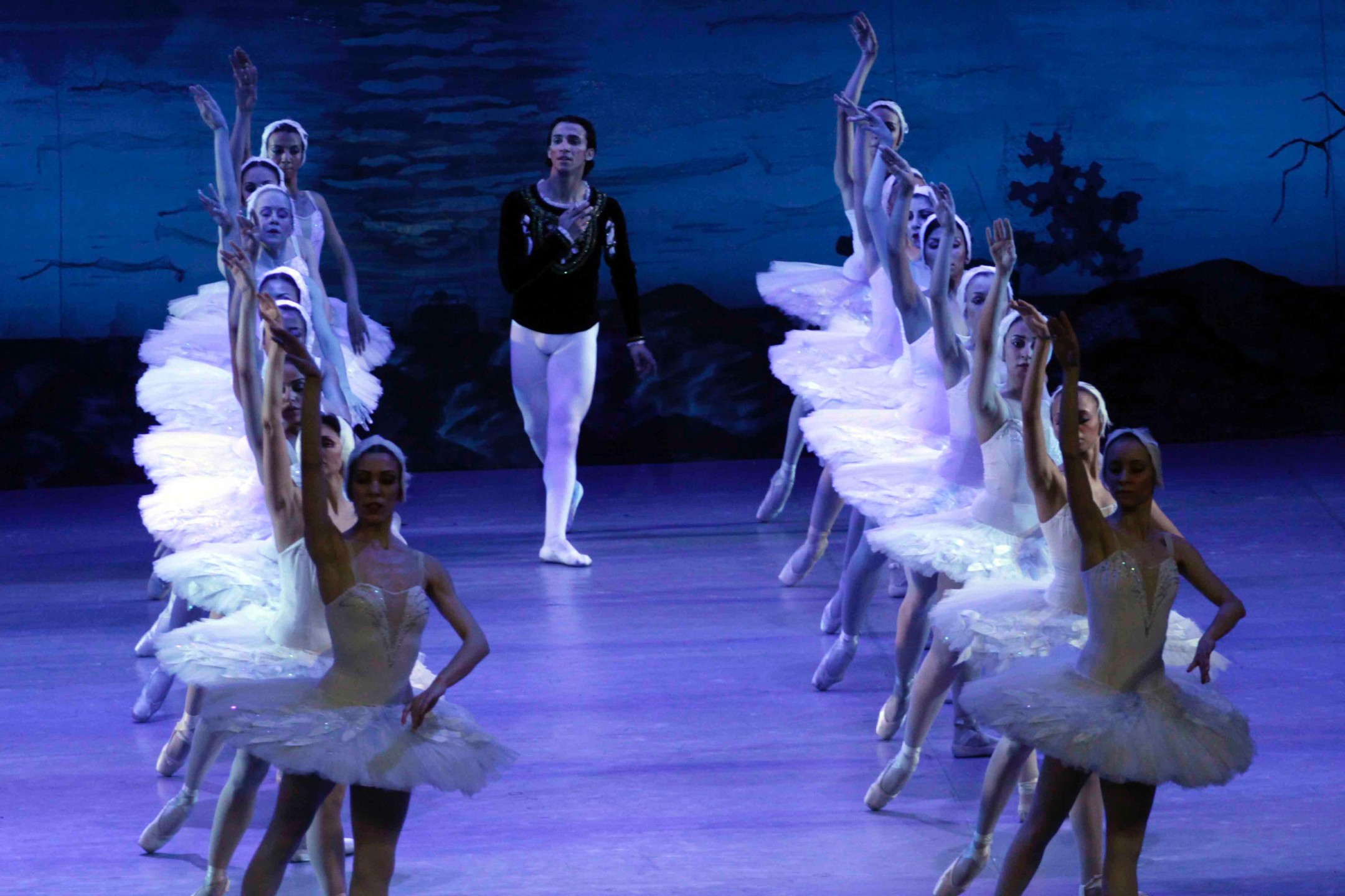 بحيرة البجع