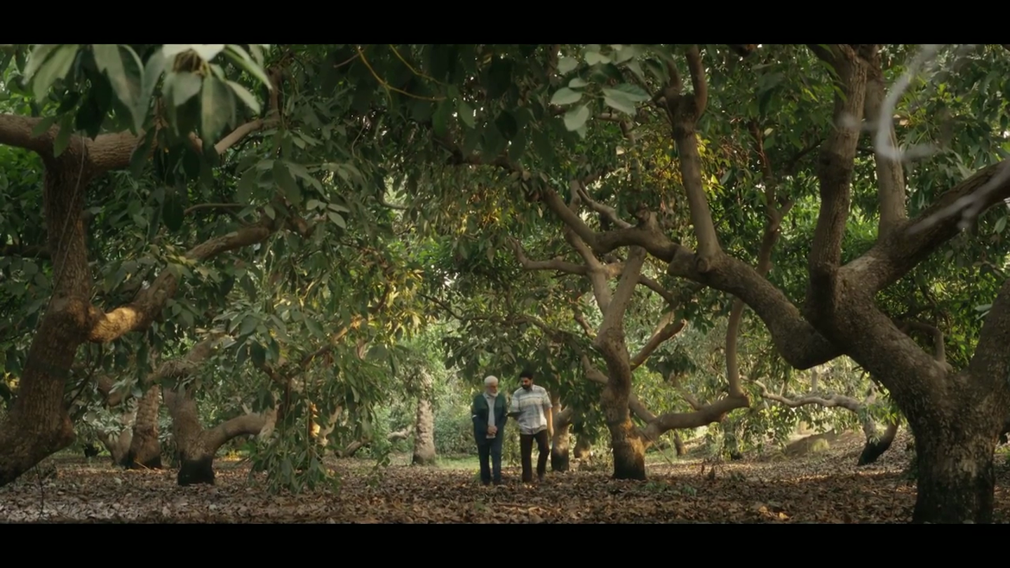 جماعة الاخوان