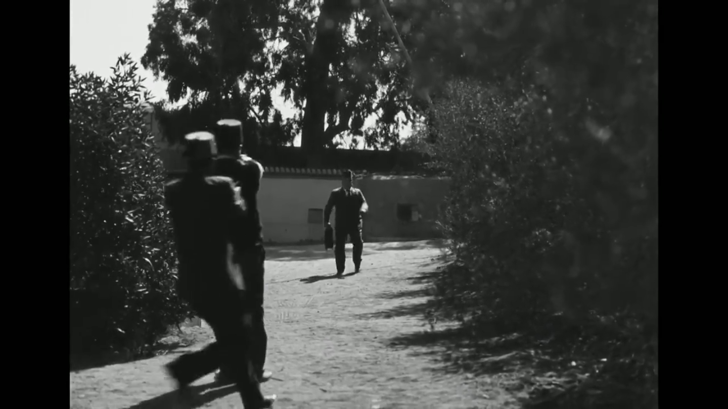 مسلسل «رأس الأفعى»