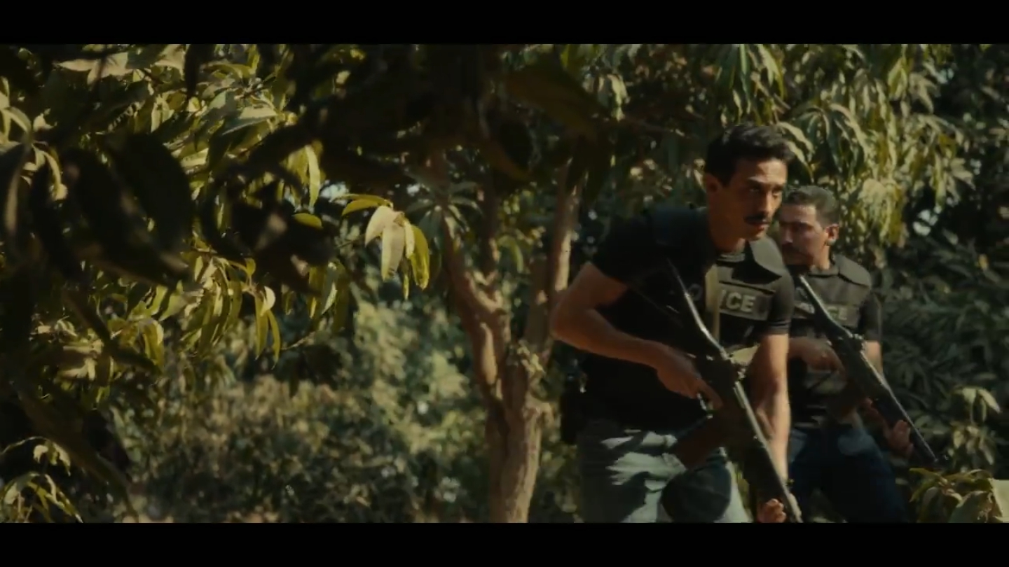 مسلسل «رأس الأفعى»